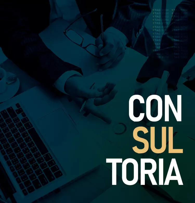 Serviço de Consultoria - Tag Business Solutions